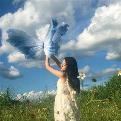 普罗旺斯惊魂记